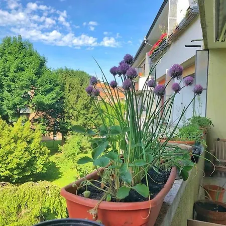5 Min In - Euer Neues Zuhause In Apartment Bern